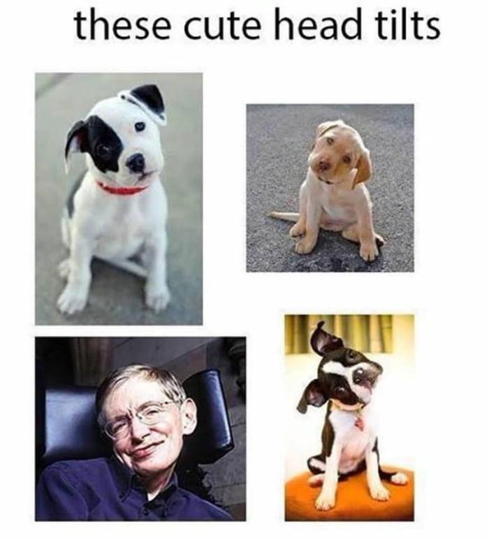 dark memes